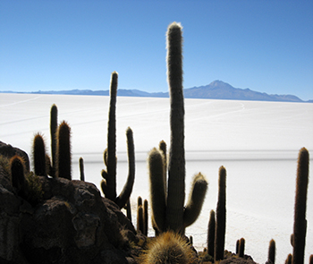 Isla Incahuasi Uyuni Destino web